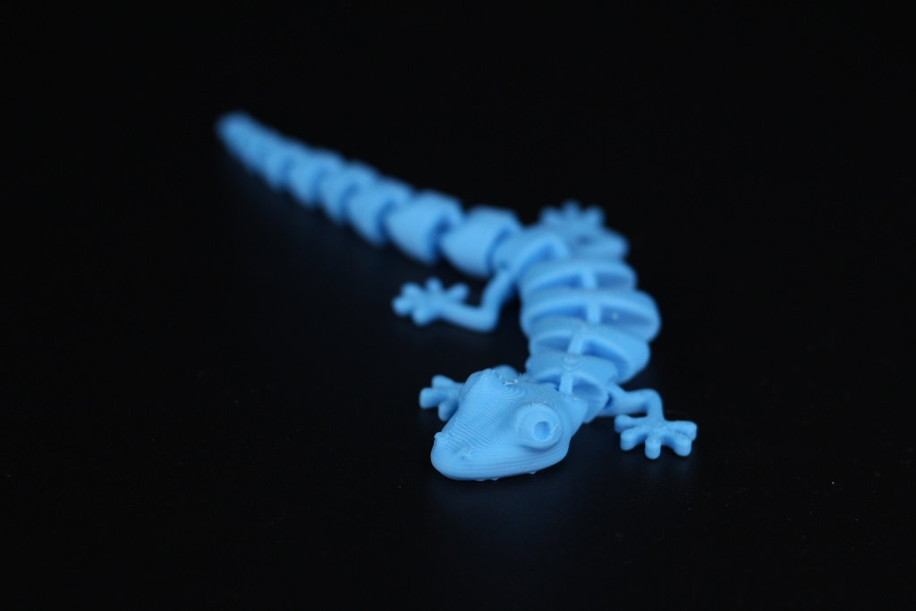 Flexi-Lizzard-on-the-Sermoon-V1-Pro5.jpg
