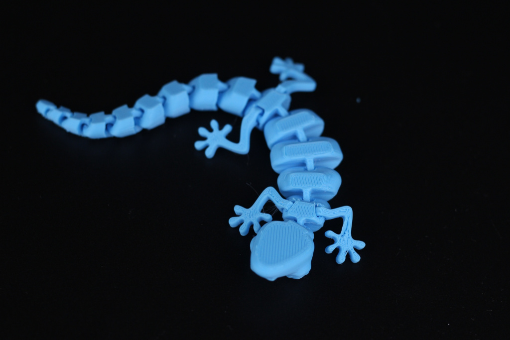 Flexi-Lizzard-on-the-Sermoon-V1-Pro2.jpg
