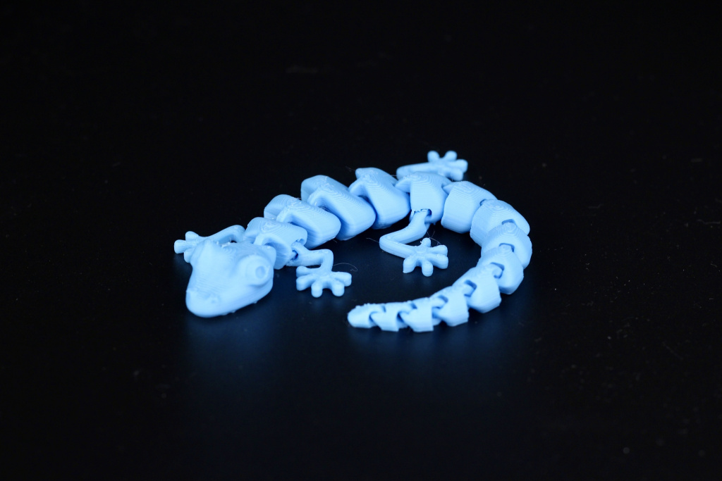 Flexi-Lizzard-on-the-Sermoon-V1-Pro4.jpg