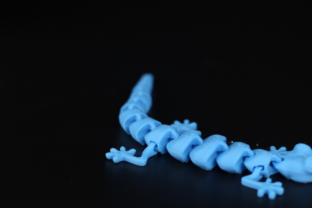 Flexi-Lizzard-on-the-Sermoon-V1-Pro3.jpg