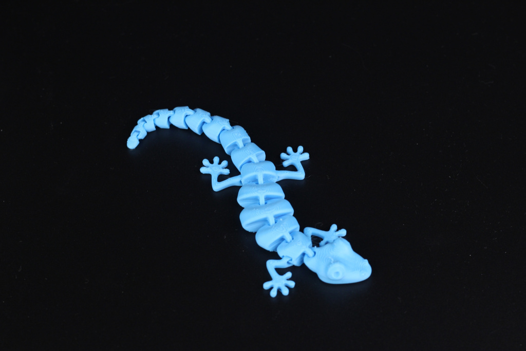 Flexi-Lizzard-on-the-Sermoon-V1-Pro1.jpg
