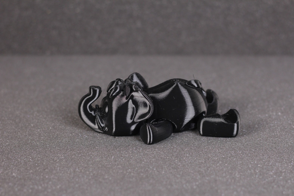 Flexi-Mammoth-PETG-print-on-the-Ender-2-Pro-2.jpg