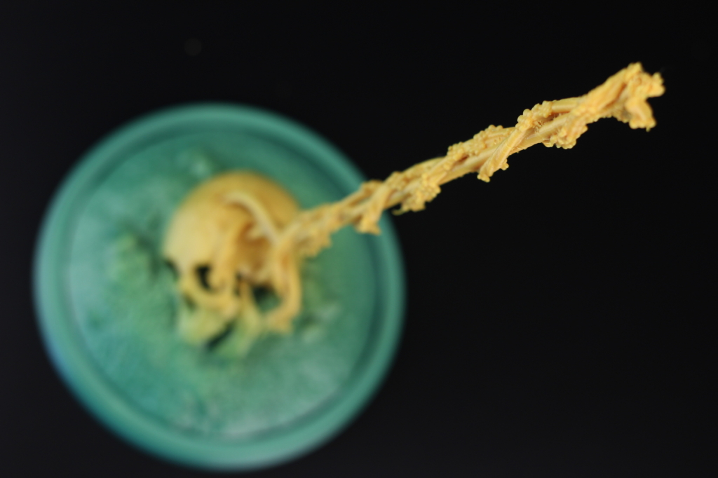 Impaled-Skull-printed-on-the-Creality-Ender-6-5-1024x682.jpg